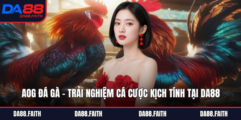 AOG Đá Gà
