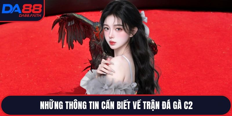 Những thông tin cần biết về trận đá gà C2