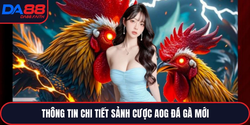 Thông tin chi tiết sảnh cược AOG đá gà mới