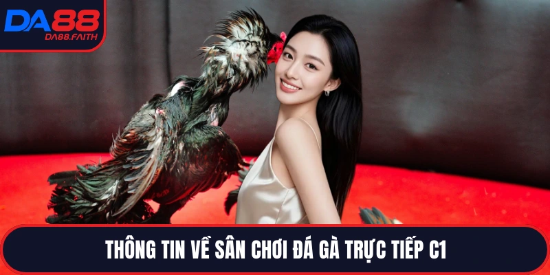 Thông tin về sân chơi đá gà trực tiếp C1